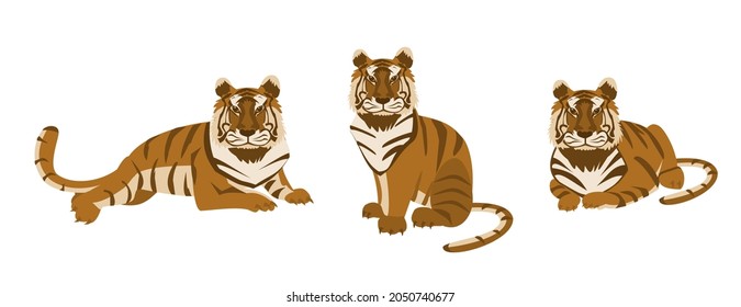 Juego de tigres en diferentes poses Dibujo de diseño animal salvaje de dibujos animados