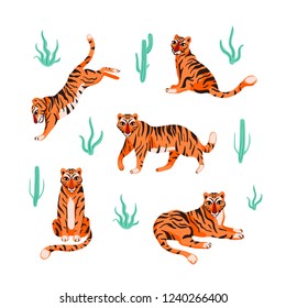 Set with tigers in different poses and tropical plants. Vector illustration.