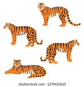  Set of tigers isolated on white background. Vector illustration.