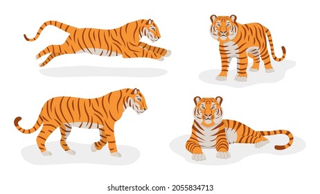 Set of tigers isolated on a white background. Front and side views. Symbol of 2022. Chinese New Year. Vector. Cartoon style