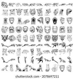 Set of tigers leopards and jaguars cub animals in various poses. Big cats heads and muzzles portraits. Live and made of stone statues and sculptures for decorations. Zodiac and lunar symbols. Vector. 