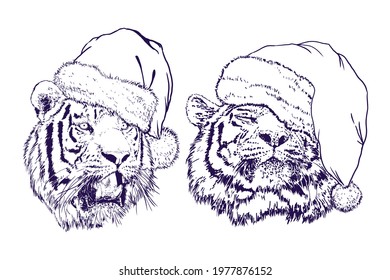 A set of tigers in Santa hats. Vector outline illustration.