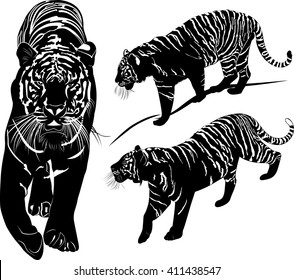conjunto de siluetas de tigres aisladas