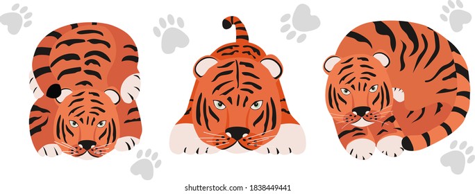 set of Tigers. Stylized cute animals of different poses. Funny cartoon character. Colorful vector illustration in flat style.
