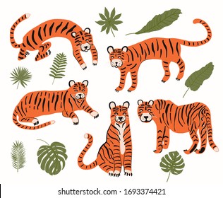 Set with tigers and tropical leaves to decorate the design. The foliage of the jungle. Vector set of cartoon characters of wild nature. Green palm leaves. The leopard pattern is wild. 