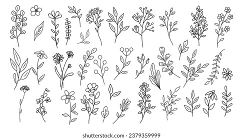 Set of tiny wild flowers and plant line art vector