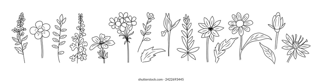 Set of tiny wild flowers and plant line art vector