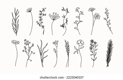 Floral graphic sketch drawing. Elegant simple tattoo design, hand drawing  wild plants. Organic botanical vector set, ink illustration of flowers  Stock Vector