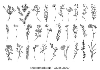 Set of tiny wild flowers and plants line art vector botanical illustrations. Trendy greenery hand drawn black ink sketches collection. Modern design for logo, tattoo, wall art, branding and packaging