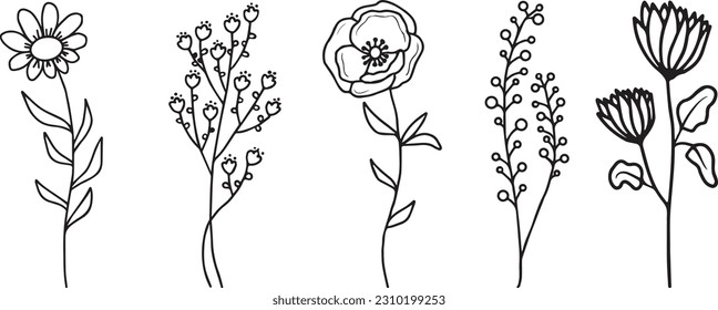 Set of tiny wild flowers and plants line art vector botanical illustrations. Trendy greenery hand drawn black ink sketches collection. Modern design for logo, tattoo, wall art, branding and packaging.