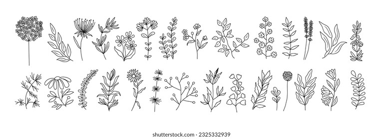 Set of tiny wild flowers and plants line art vector botanical illustrations. Trendy greenery hand drawn black ink sketches collection. Modern design for logo, tattoo, wall art, branding and packaging.