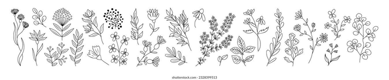 Set of tiny wild flowers and plants line art vector botanical illustrations. Trendy greenery hand drawn black ink sketches collection. Modern design for logo, tattoo, wall art, branding and packaging.