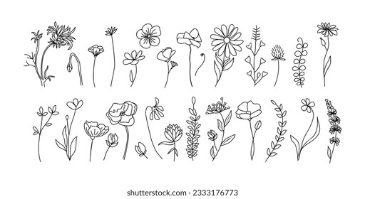 Set of tiny wild flowers and plants line art vector botanical illustrations. Trendy greenery hand drawn black ink sketches collection. Modern design for logo, tattoo, wall art, branding and packaging