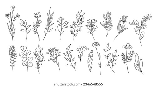 Set of tiny wild flowers and plants line art vector botanical illustrations. Trendy greenery hand drawn black ink sketches collection. Modern design for logo, tattoo, wall art, branding and packaging