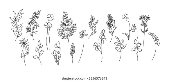 Set of tiny wild flowers and plants line art vector botanical illustrations. Trendy greenery hand drawn black ink sketches collection. Modern design for logo, tattoo, wall art, branding and packaging