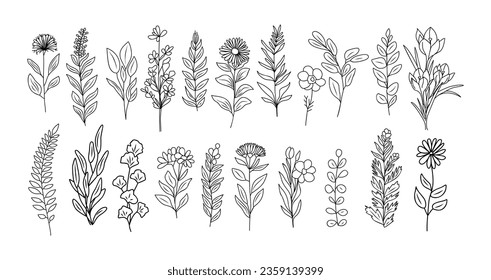 Set of tiny wild flowers and plants line art botanical illustrations. Trendy greenery hand drawn black ink sketches collection. Vector design elements isolated on white background svg