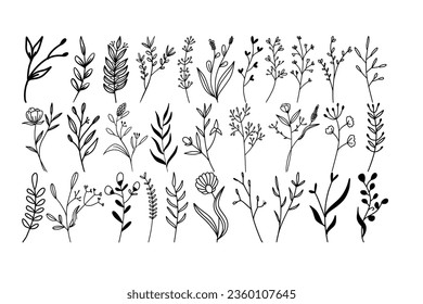 conjunto de pequeñas flores silvestres y plantas de línea ilustraciones botánicas vectoriales de arte. Colección de bocetos de tinta negra dibujada a mano de vegetación moderna. Diseño moderno para logotipo, tatuaje, arte en la pared, marca y embalaje.