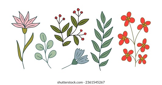 Set of tiny wild flowers and plants colored vector botanical illustrations. Trendy greenery hand drawn outline sketches collection. Modern design for logo, tattoo, prints, branding and packaging