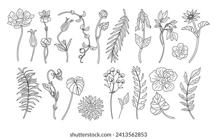 Set of tiny wild flowers, plants line art vector.