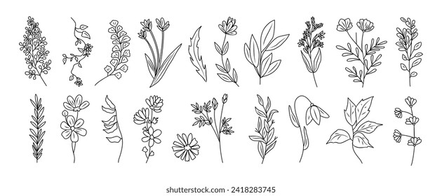 Set of tiny wild flowers and plants line art.