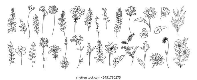 Set of tiny wild flowers and plants line art vector botanical illustrations. Trendy greenery hand drawn black ink sketches collection. Modern design for logo, tattoo, wall art, branding and packaging.