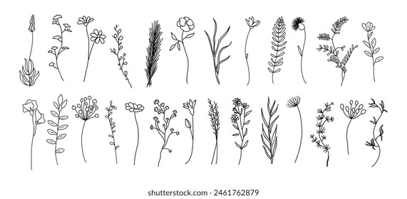 Set of tiny wild flowers and plants line art vector botanical illustrations. Trendy greenery hand drawn black ink sketches collection. Modern design for logo, tattoo, wall art, branding and packaging.