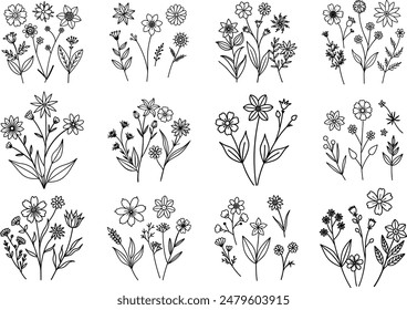 Set of tiny wild flowers and plants line art vector botanical illustration isolated on white background. Trendy greenery hand drawn black ink sketches