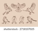 Set of titmouse. Flying bird. Hand drawn vector illustration.