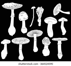 set of toadstools isolated on black background