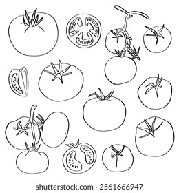 Set of tomato icons. Hand-drawn doodle contours. Black and white tomatoes, isolated on a white background. Suitable for web design, coloring pages and books, menus, restaurant design, prints, posters