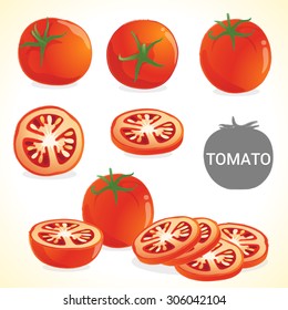 Set of tomato in vector and various style