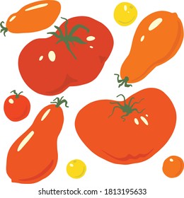 Fijado con tomates, cosecha de otoño, vector
