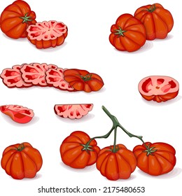 Set of tomatoes for banners, flyers, posters, social media. Whole, half, wedges, slices of beef tomatoes. Beefsteak tomato. Vegetables. Cartoon style. Vector illustration isolated on white background