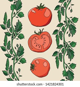Set of tomatoes and branch. Red whole and slice totatoes with green leafs . template for farm shop. hand drawn style.
