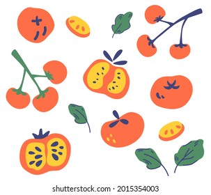 Set of tomatoes. Different types of tomatoes. Whole, sliced, quarter, half of a tomato. Vegetable, vegetarian, vegan healthy food. For decor, kitchen, menu, shop, restaurant. Vector illustration