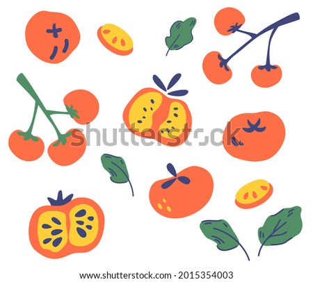 Set of tomatoes. Different types of tomatoes. Whole, sliced, quarter, half of a tomato. Vegetable, vegetarian, vegan healthy food. For decor, kitchen, menu, shop, restaurant. Vector illustration