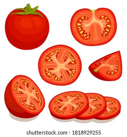 Set of tomatoes isolated on background. Vector illustration. Whole, slice, half of a tomato fruit.