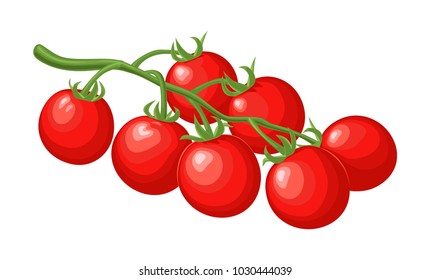 Set of tomatoes isolated on white background. Branch, whole, half and slice. Vector flat color illustration.