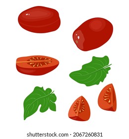 Set tomatoes isolated on white background. Whole, half and slice with leaves . Vector illustration