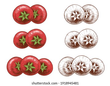 Set of tomatoes. Piles of tomatoes in twos and threes. Colored and outlined. In the style of a pencil drawing or engraving. Isolated on a white background