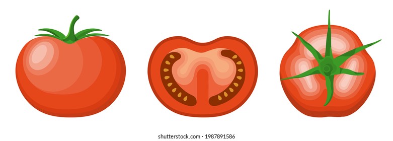 Set of Tomatoes and Sliced Tomato Isolated On White Background