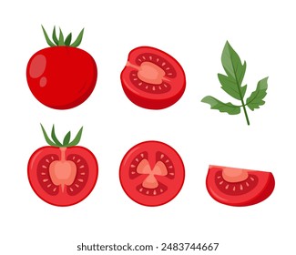 Set of tomatoes and slices. Whole and parts of farm tomatoes plant icons. Organic vegetables vegetarian food. Vector illustration isolated on white background.