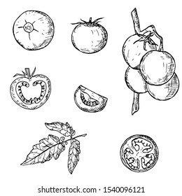 Set of tomatoes. Vector cartoon illustrations. Isolated objects on a white background. Hand-drawn style.