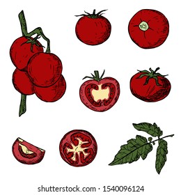 Set of tomatoes. Vector cartoon illustrations. Isolated objects on a white background. Hand-drawn style.