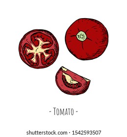Set of tomatoes. Vector cartoon illustrations. Isolated objects on a white background. Hand-drawn style.