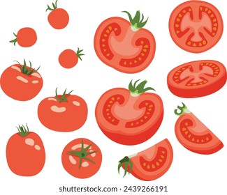 Set of Tomatoes Whole, Half, Quarter, Slice, Angled, Hand Drawn Vector Illustration Set Isolated
