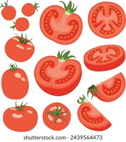 Set of Tomatoes Whole, Half, Quarter, Slice, Angled, Hand Drawn Vector Illustration Set Isolated
