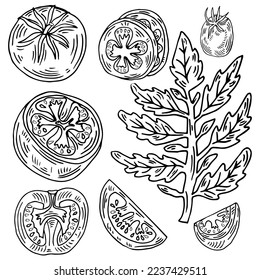 Set of tomatoes whole and halves of the graph. Isolated on a white background