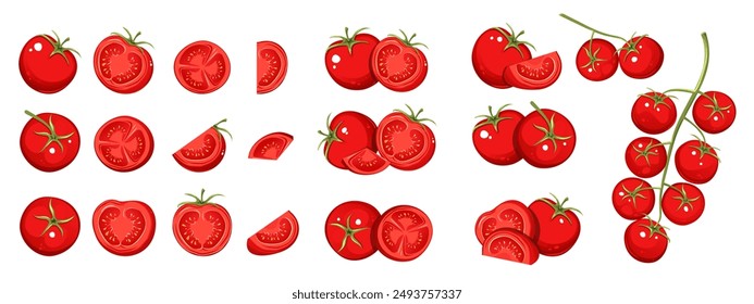 Set of tomatoes. Whole tomatoes, halves, slices, cherry tomatoes on a branch. Vector illustration.