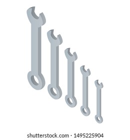 Set tool key icon. Isometric of set tool key vector icon for web design isolated on white background